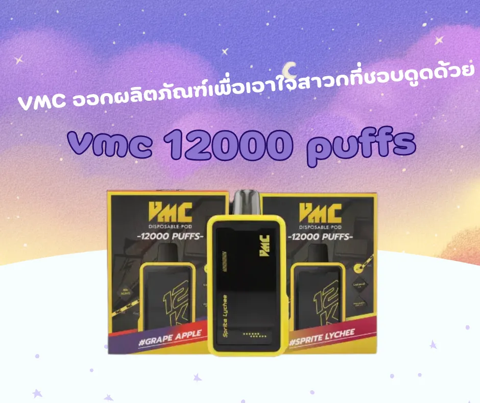 vmc 12000 puffs