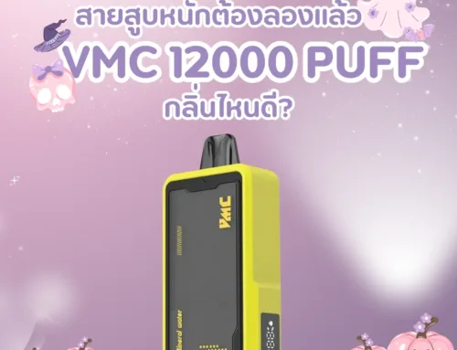 สายสูบหนักต้องลองแล้ว vmc 12000 puff กลิ่นไหนดี? 